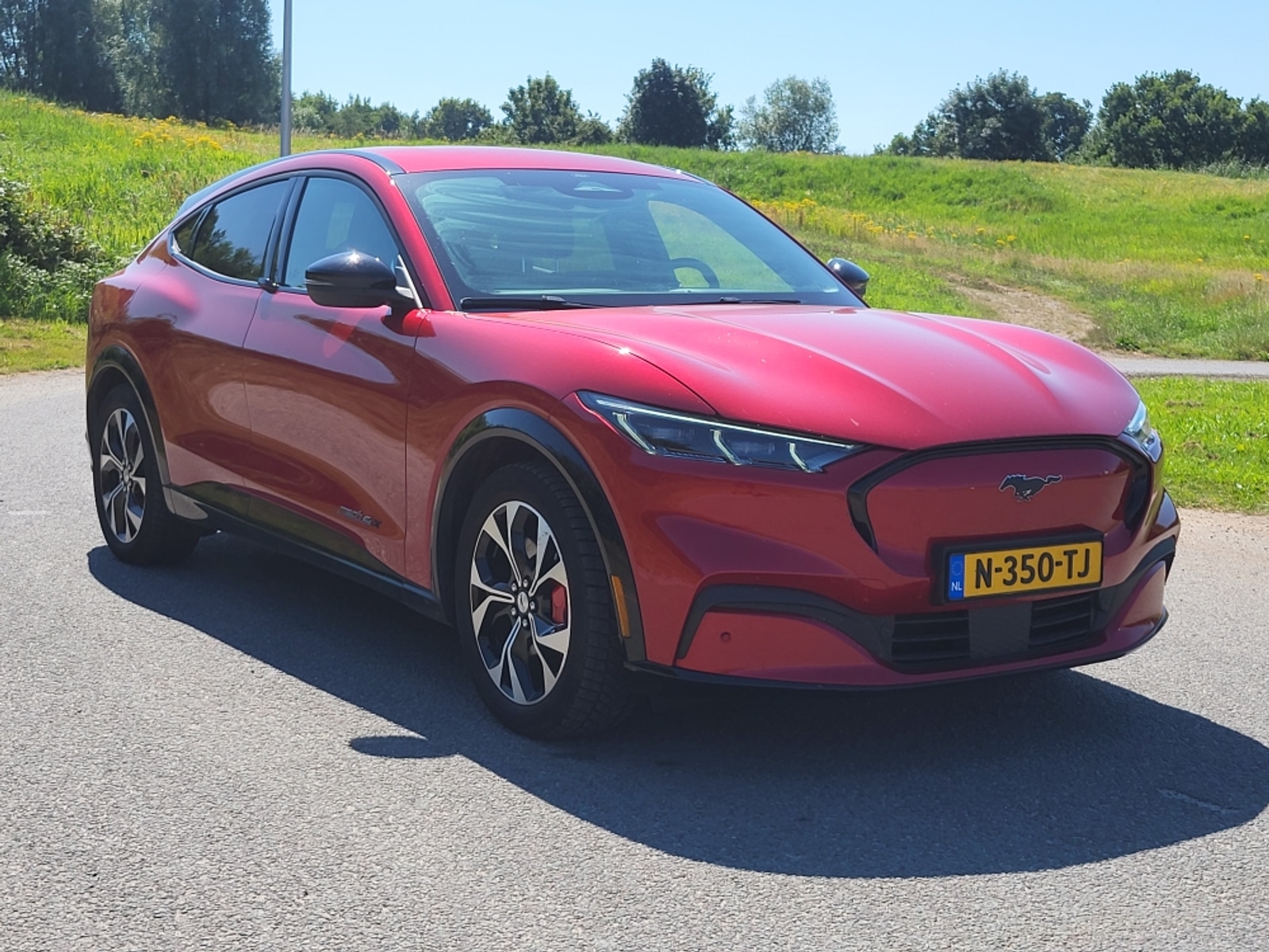 Foto 3 van Ford Mustang
