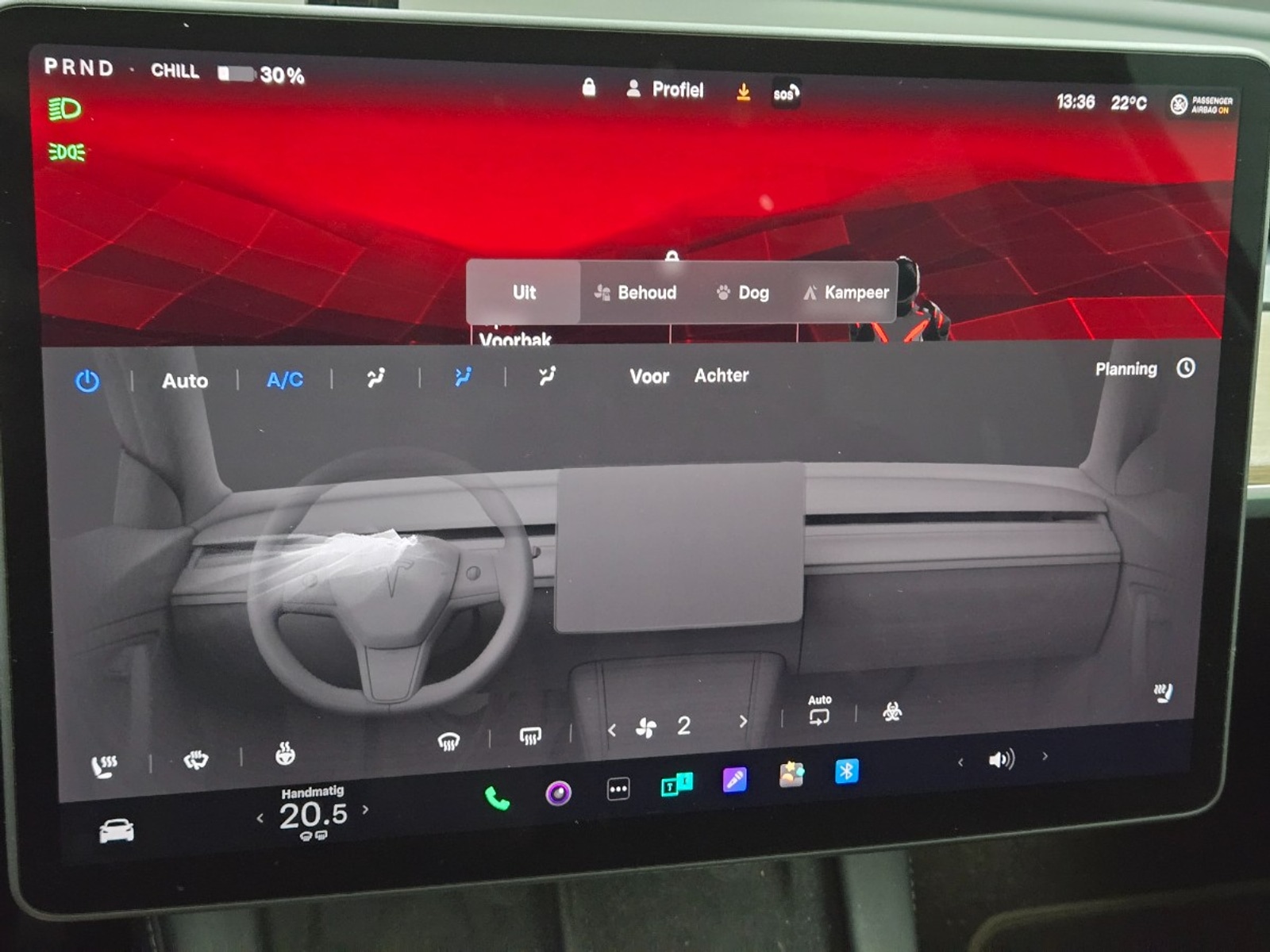 Foto 7 van Tesla Model Y