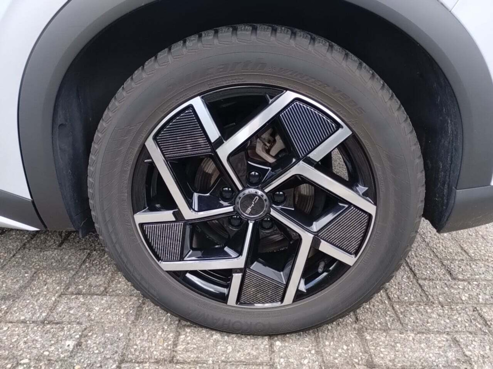 Foto 19 van BYD Atto 3