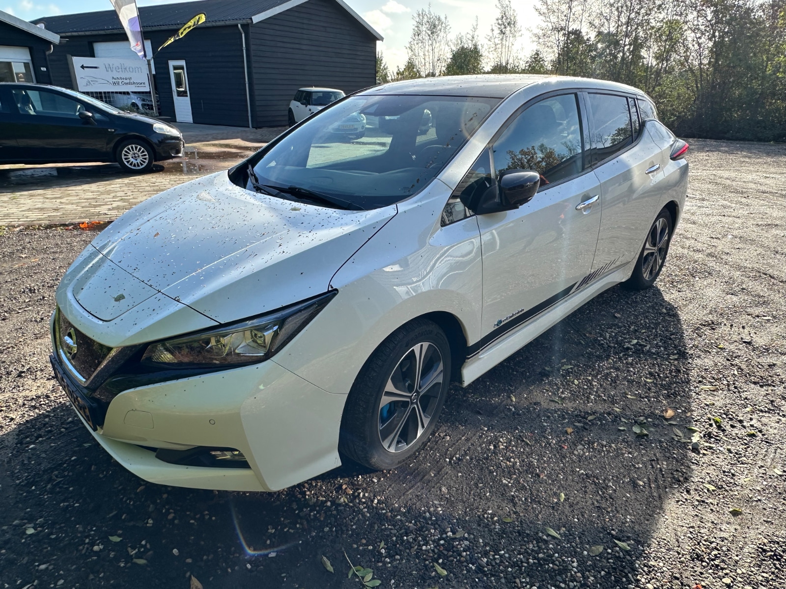 Foto 8 van Nissan Leaf