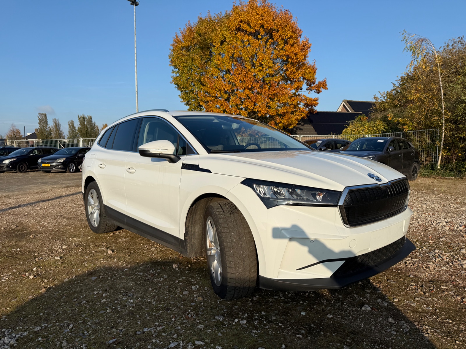 Foto 4 van Skoda Enyaq